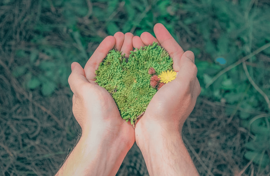 valores humanos y superacion personal